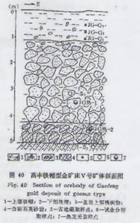 金溶液在表生条件下的沉淀(图1) 金溶液在表生条件下的沉淀(图1)